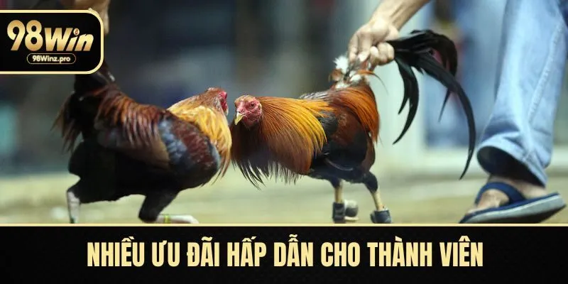 Nhiều ưu đãi hấp dẫn cho thành viên tham gia