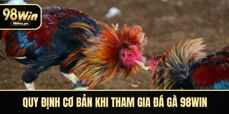 Nắm vững các quy định cơ bản khi tham gia đá gà 98WIN