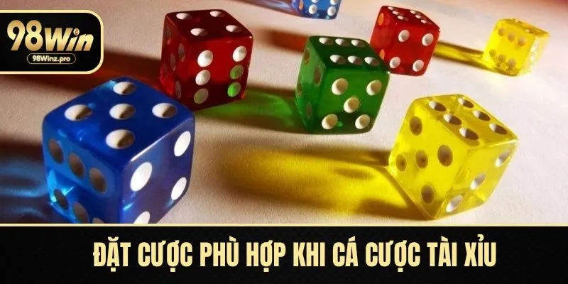 Đặt cược phù hợp khi cá cược tài xỉu